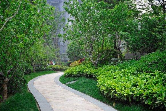 泰安市新建小区绿地率不得低于 35%,擅改将严惩