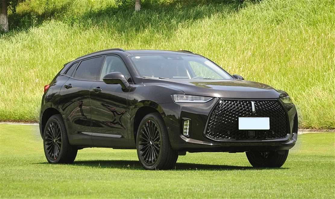 长城最贵suv,补贴前近30万,全系标配四驱,一看油耗,确实牛-新浪汽车