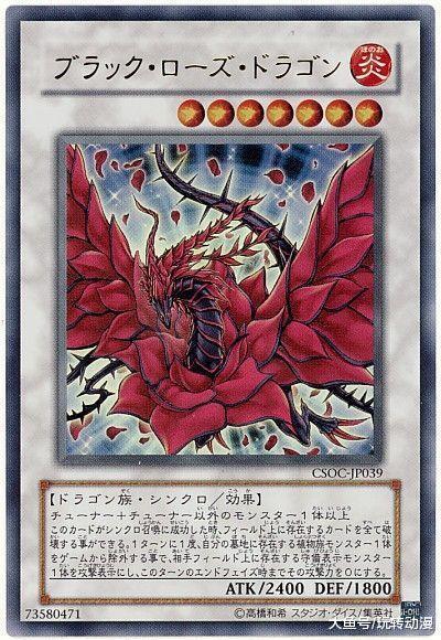 游戏王 只要召唤怪兽"黑蔷薇龙", 全场卡牌将会无一幸免被破坏