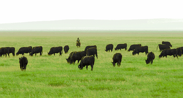 640_343gif 动态图 动图