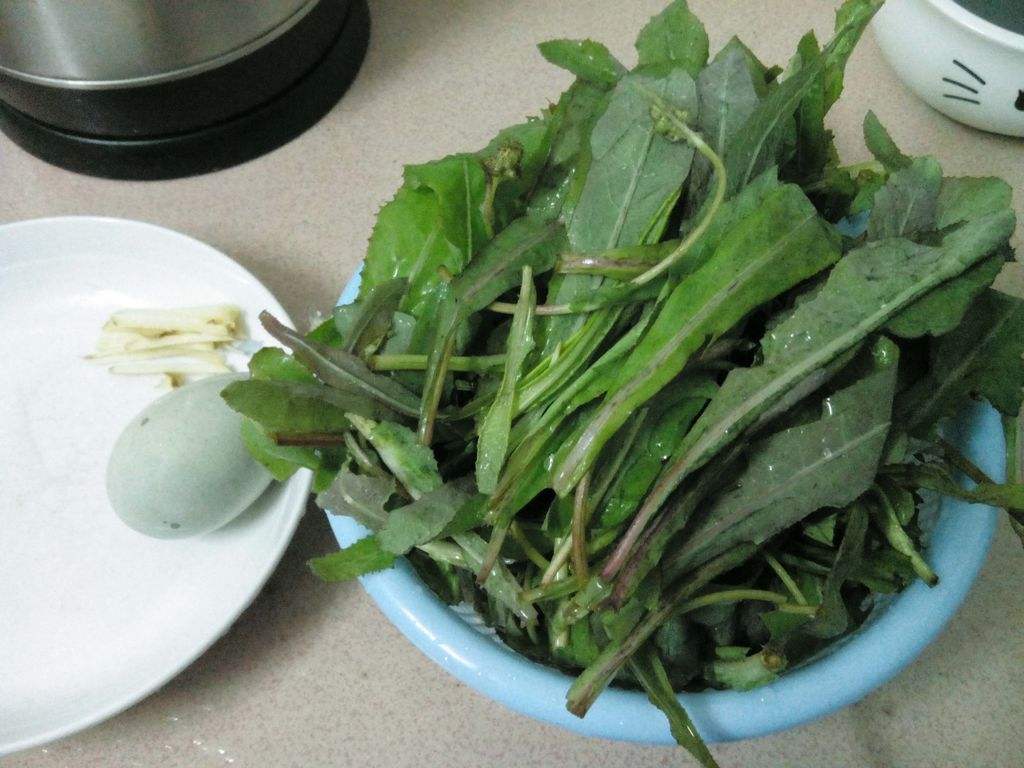 这种天上飞的野菜能退小儿黄疸花蕾可以提神醒脑