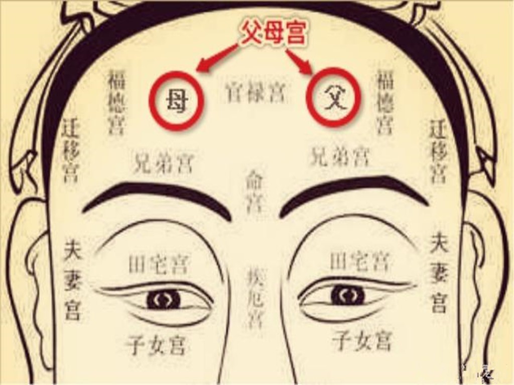 面相十二宫父母宫解释