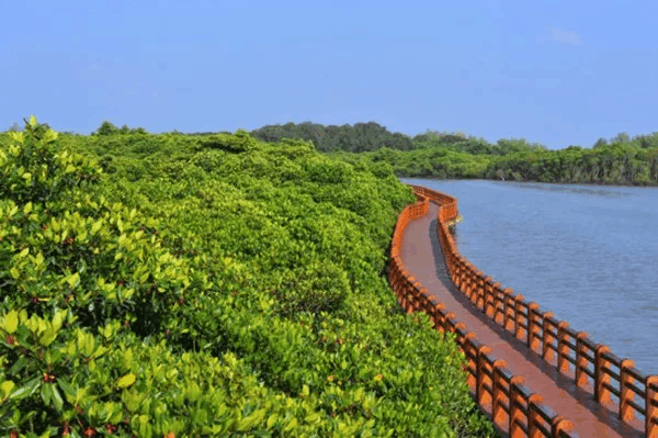 来海南岛旅游, 这8大景点一定要去!