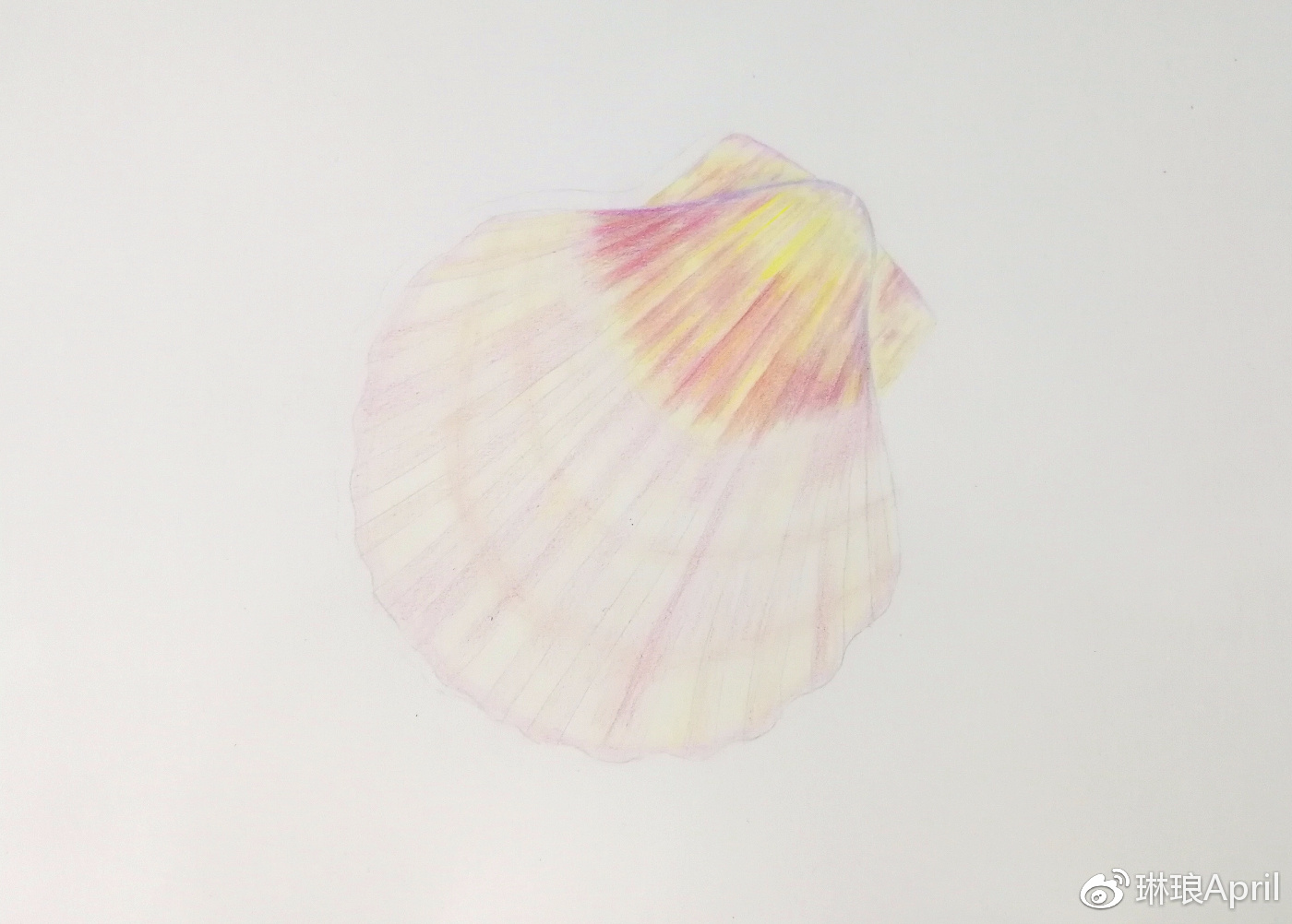 【彩铅教程.1】一个简单的贝壳