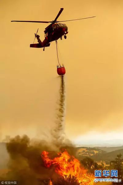 人类快要热死了!特朗普的退群效应又遭网友