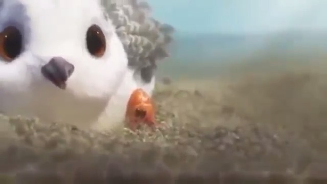 奥斯卡最佳动画短片《Piper》(鹬) 皮克斯耗时三年的6分钟短片，全...|奥斯卡|Piper|鹬_新浪新闻