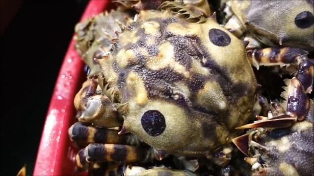 在韩国花600买"大眼睛"螃蟹,看起来丑,掰开却很惊喜