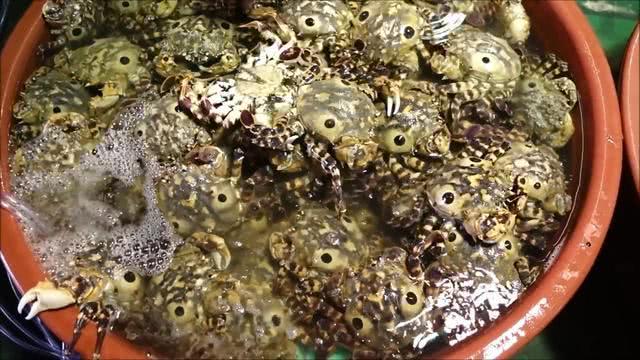 在韩国花600买"大眼睛"螃蟹,看起来丑,掰开却很惊喜