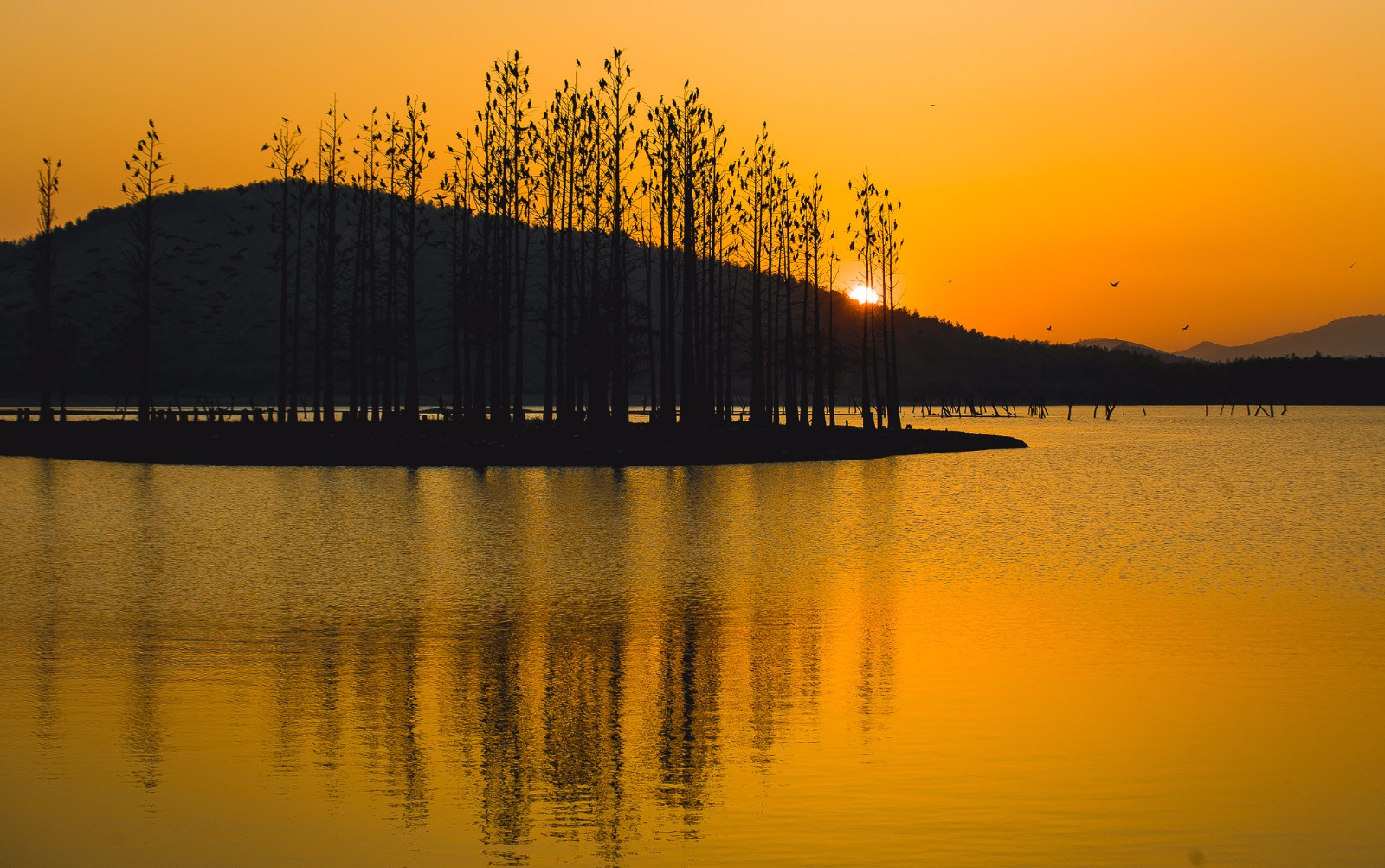 宜兴太华镇云湖,那里的落日很美
