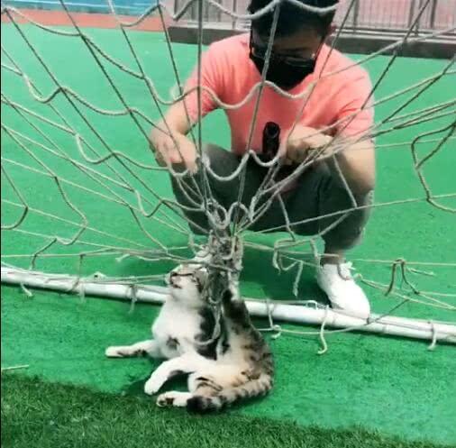 好心人开始慢慢帮我解掉身上的绳子,这家伙跑来这里乱窜,要是不被困住