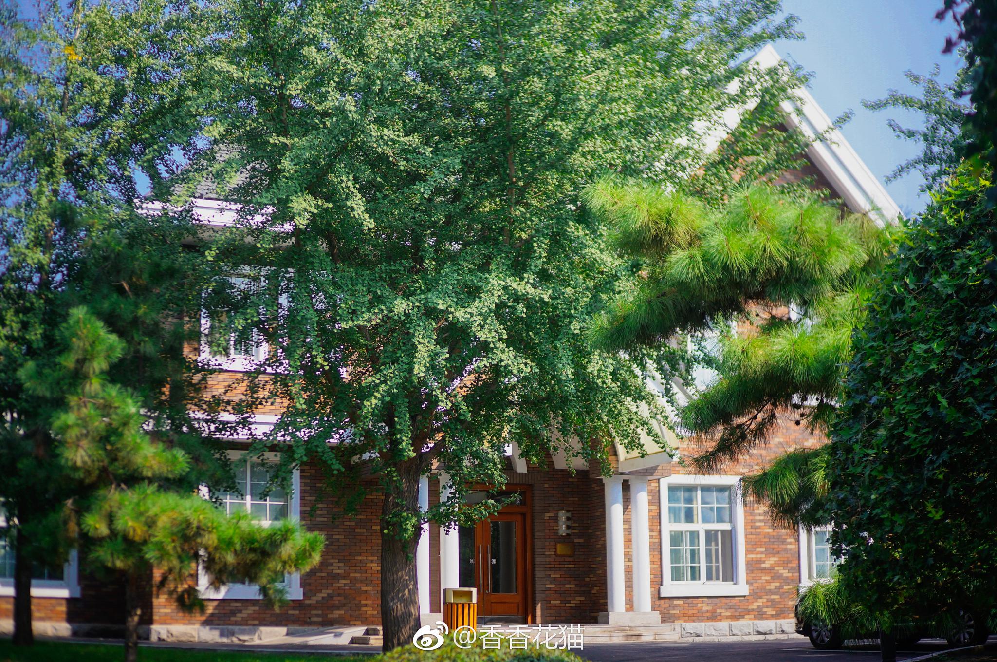 辽宁友谊宾馆在这里住了七日室外环境不错花园湖畔林荫小道