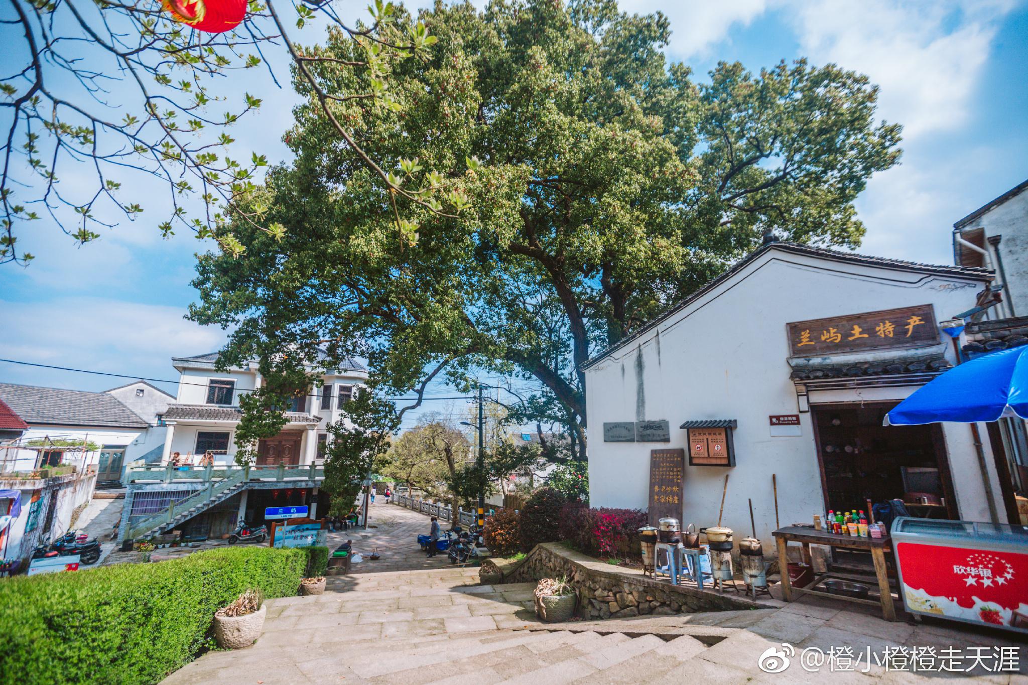 在慈溪市龙山镇范市南部,有一个千年古村落,名为方家河头