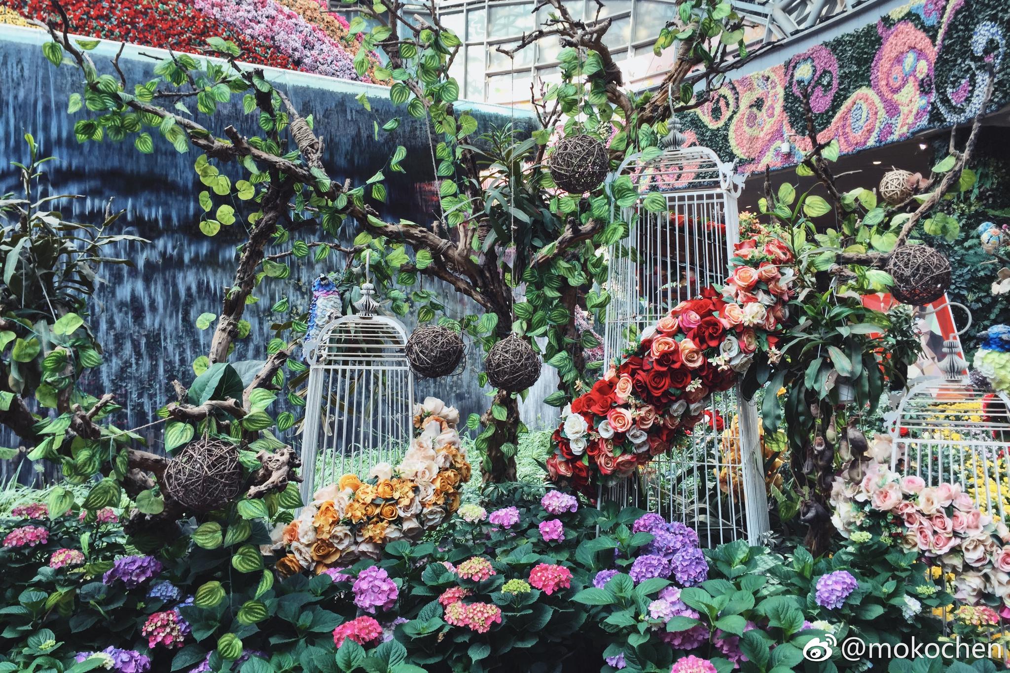 飞抵昆明,入住全国最美的花卉主题酒店—花之城豪生国际大酒店