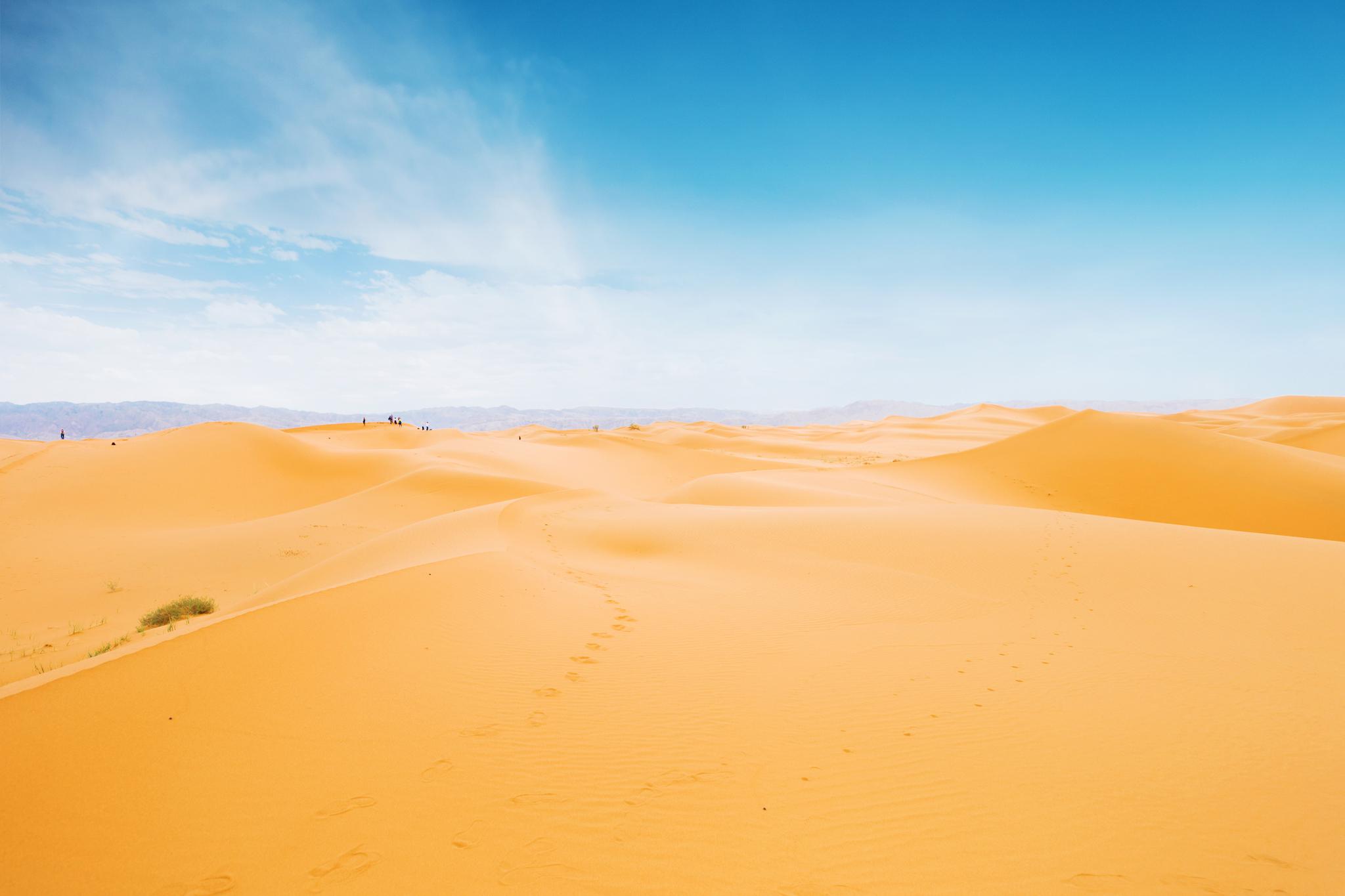 黄河之北/宁夏向西的腾格里沙漠绿洲与黄沙相伴/飞鸟与驼铃为舞