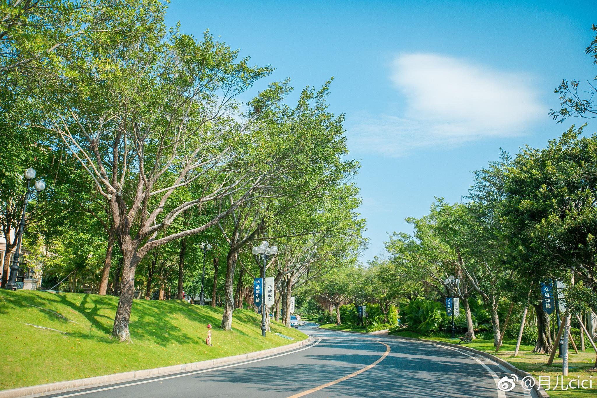 轻呼吸的一天,阳光下的林荫道,童趣的旋转木马,小清新的花车
