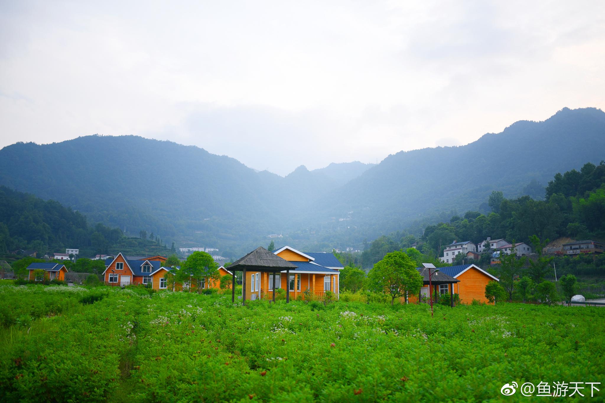 宜昌秭归县最浪漫的景区莫过于月亮花谷景区了,这里不仅环境秀美