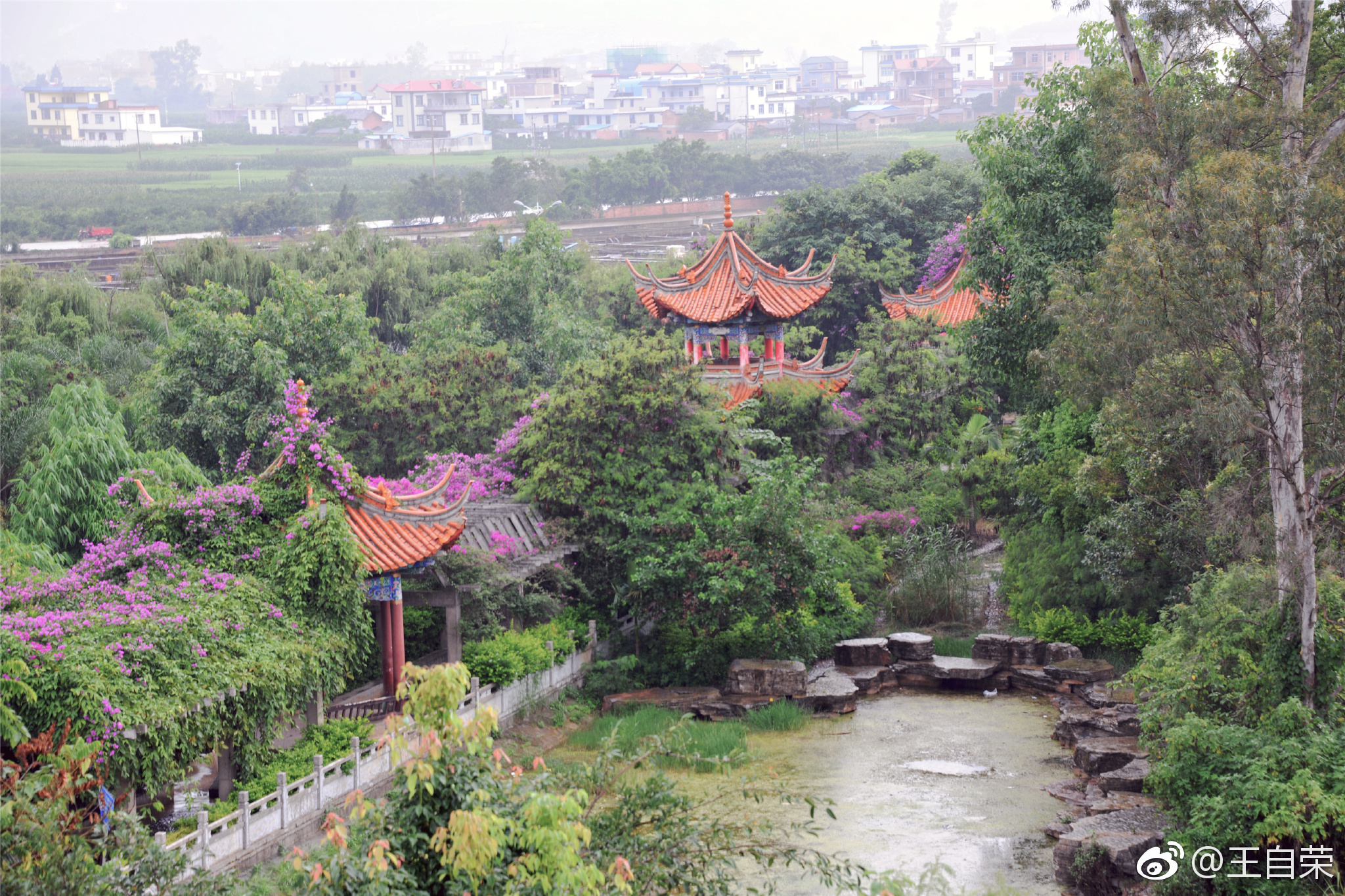 玉溪市华宁县盘溪镇大龙潭.
