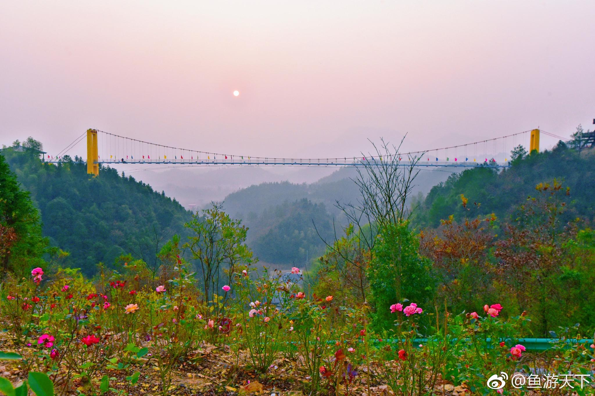 来崇阳县一定要去一次柃蜜小镇,这里青山环绕,风景如画