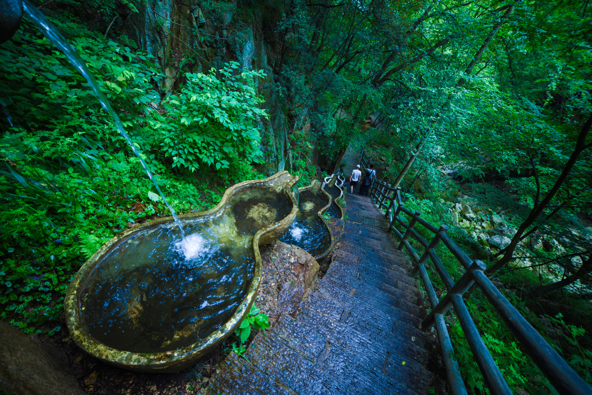 老君洞道黑,野人谷自在|伏牛系"道法自然"