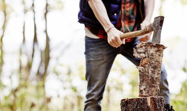 砍柴人山中救人一命, 一年后他来报恩赠豪宅, 才知此物不是人