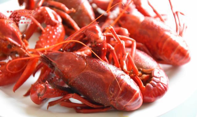 小龙虾|虾|大虾_新浪新闻