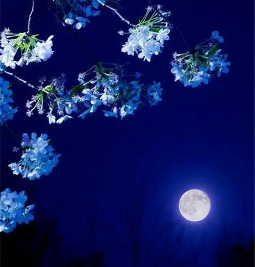 诗绮美 瑰奇明月夜 落花时能助欢笑 亦伤别离调清金石怨