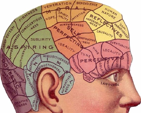 这下又双叒叕涨知识啦这20个关于大脑的常识只有聪明人才知道