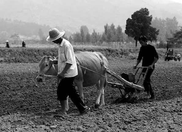 外国人收藏70年代中国老照片:70年代农民是这样子的