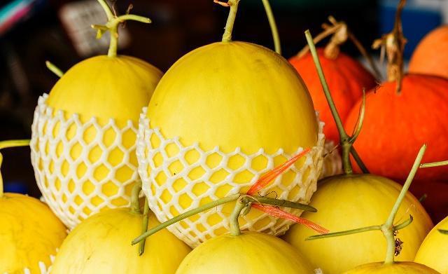 取得显著经济效益,淮阴区的大棚种植的草莓品种有果大,汁多,保鲜期长