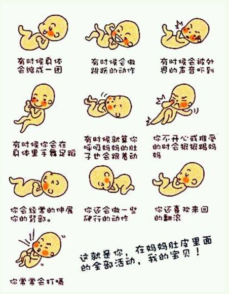 如果你怀孕了，学会这些胎动知识，可以让你掌握胎儿的发育情况