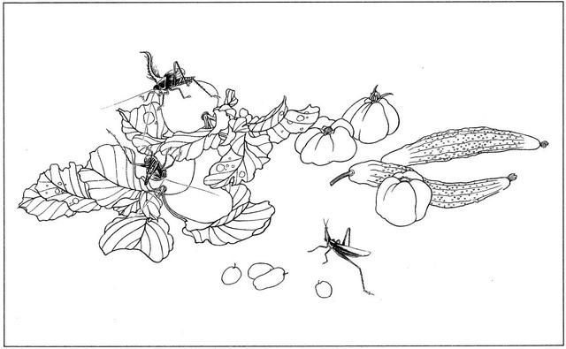 书画国画白描草虫作品欣赏