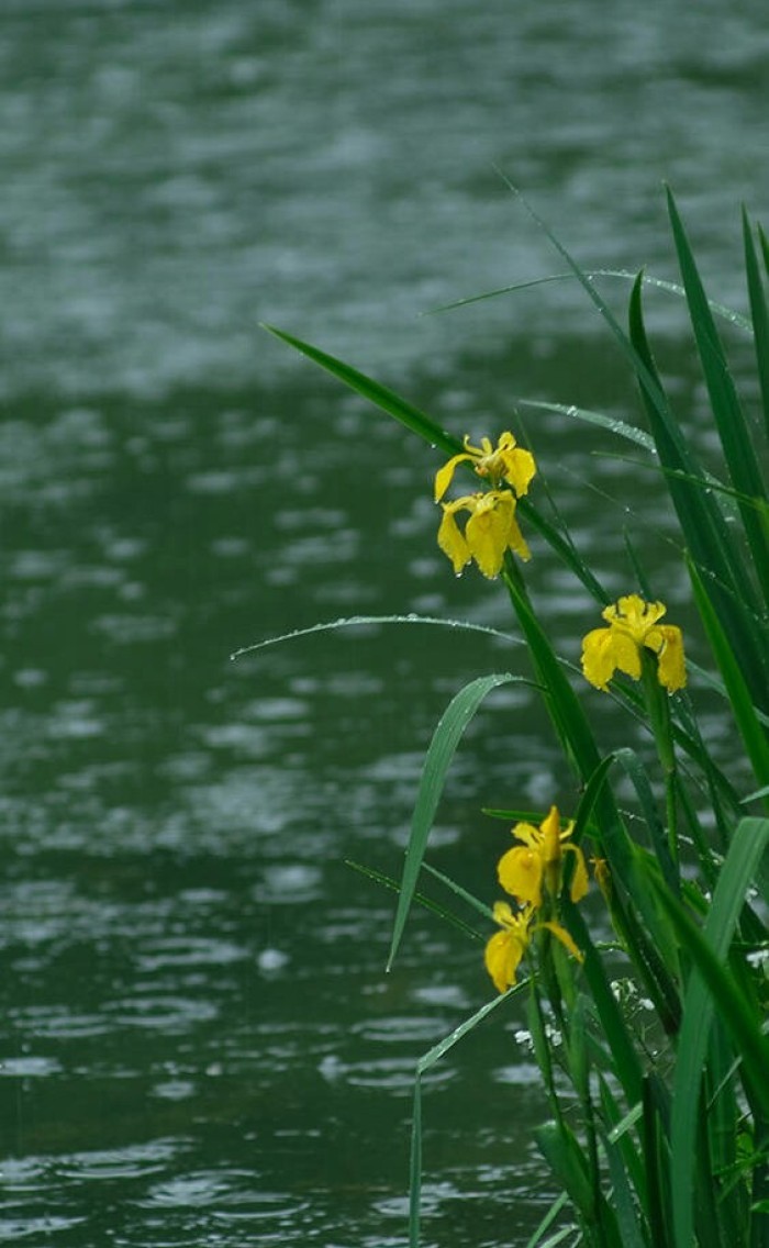 清风徐来._新浪看点