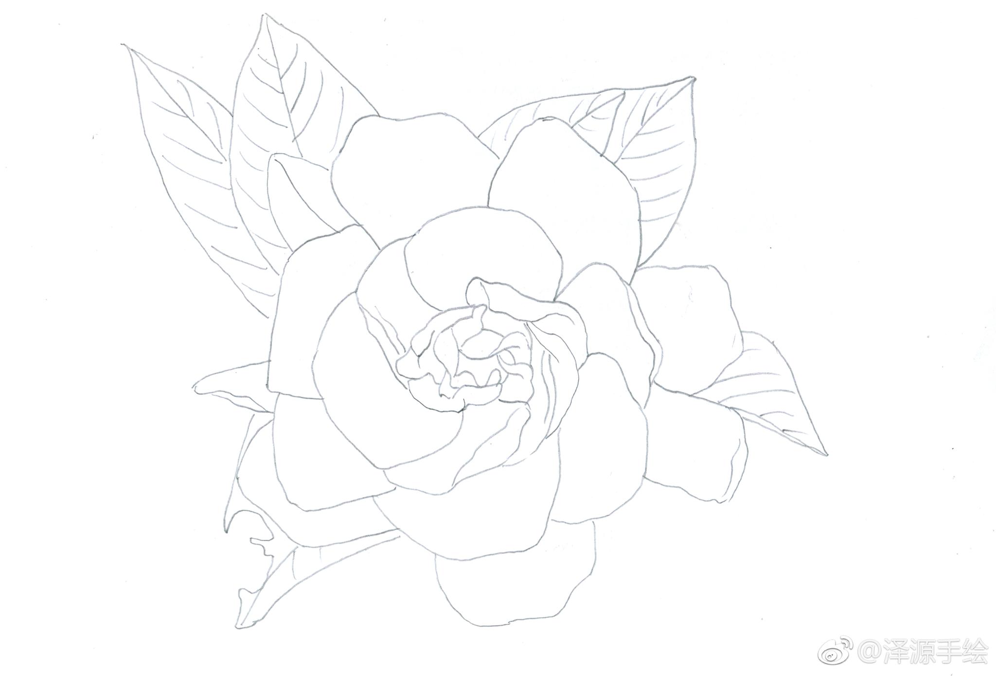 栀子花永恒的爱与约定投稿