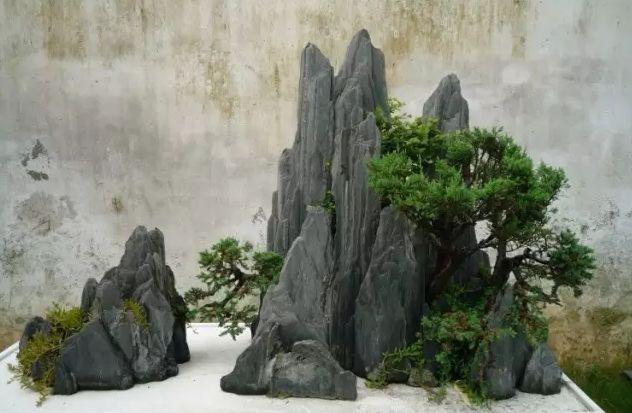 盆景|假山|绿植_新浪新闻