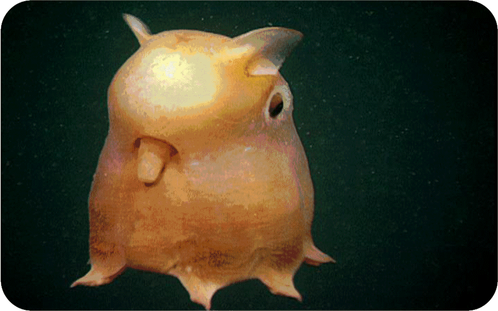 1000_625gif 动态图 动图