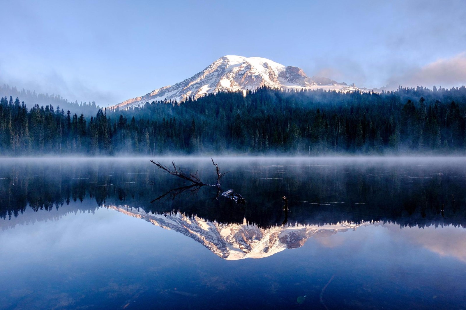 地球上最美的日落之地萨瓜罗仙人掌国家公园