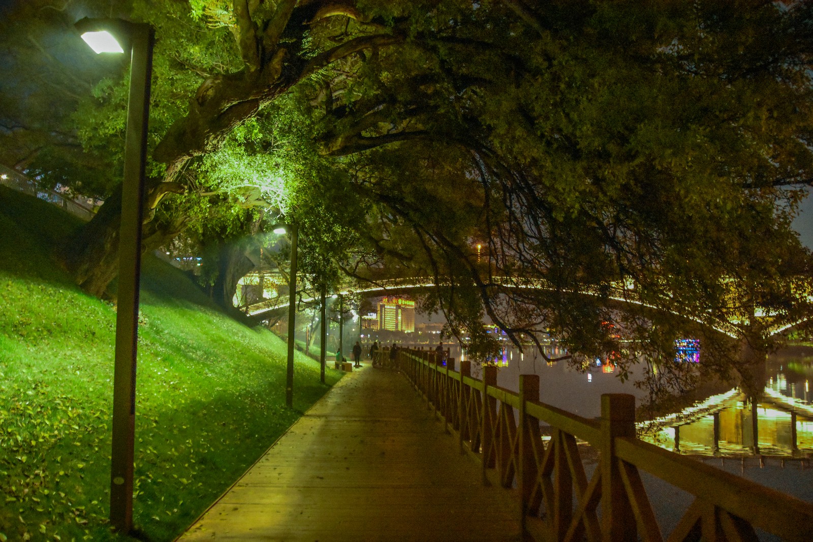 【夜色中的绿茵道】