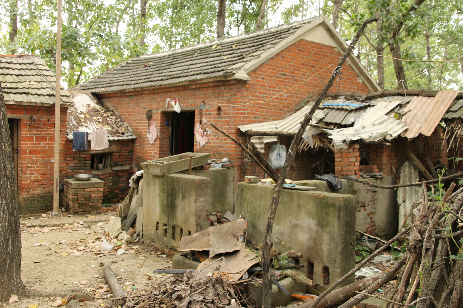 老头子在的时候,房子旁边的猪圈里还喂上几头猪.