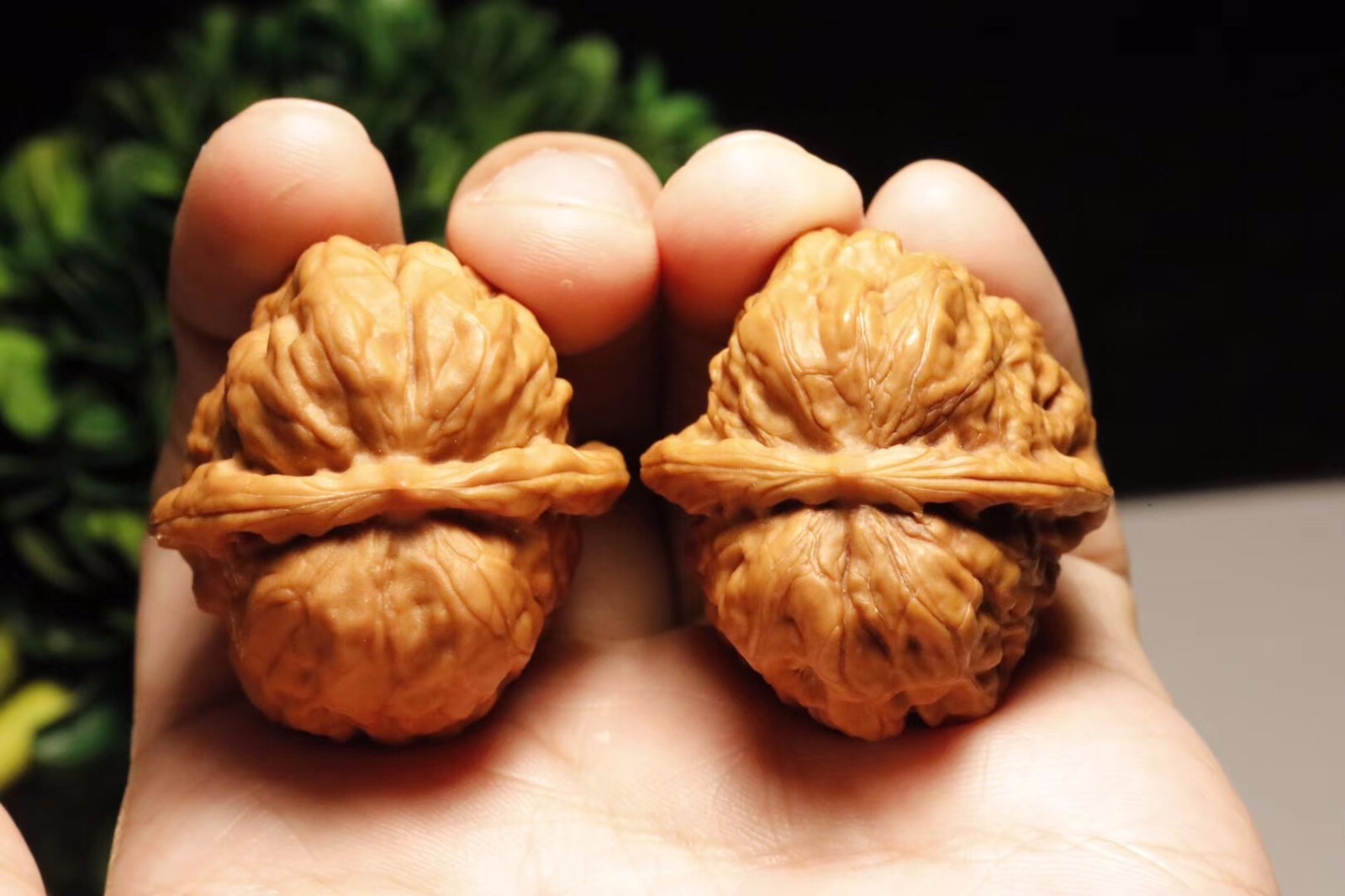 机刷核桃能刷出包浆玉化么