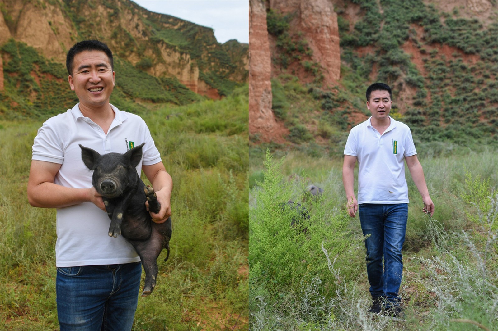 今年35岁的卢宏伟曾是某公司总经理,身家千万,2017年他回到家乡陕西