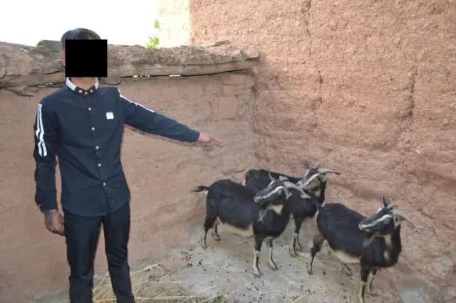 楚雄:少年恶习难改酿大错,疯狂盗窃终落网!