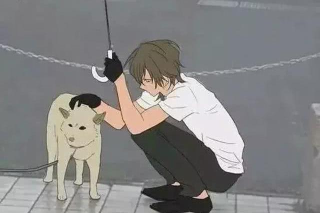 日本网友见到雨中的柴犬,主动上前撑伞挡雨,路人做成感人漫画