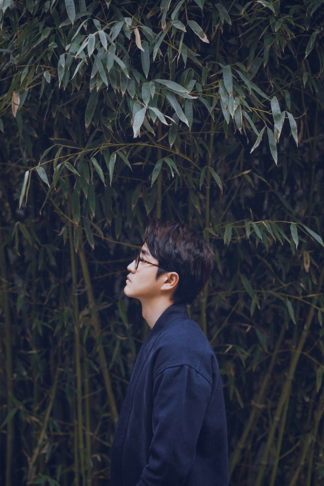 杨玏曝古风文艺写真