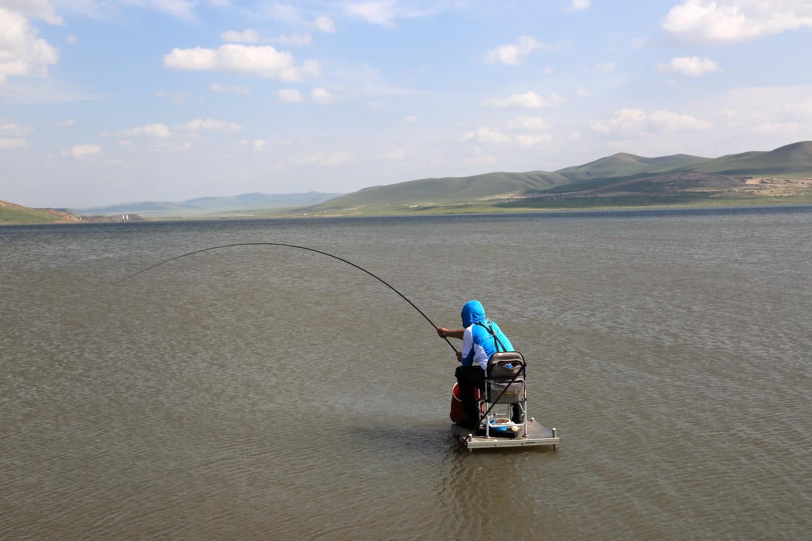 这里是钓鱼人的天堂里面有很多三道鳞
