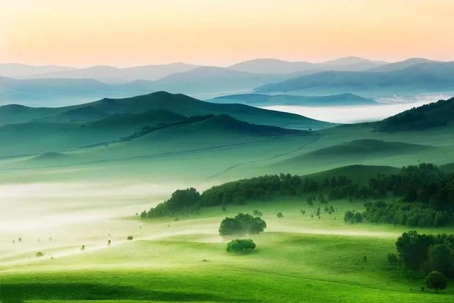 坝上草原的春天,终于来了!