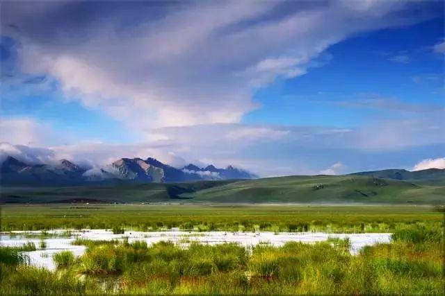 中国最美的高原湿地，广袤无垠，水草丰茂，你知道是哪吗？|青藏高原|若尔盖|草原_新浪新闻