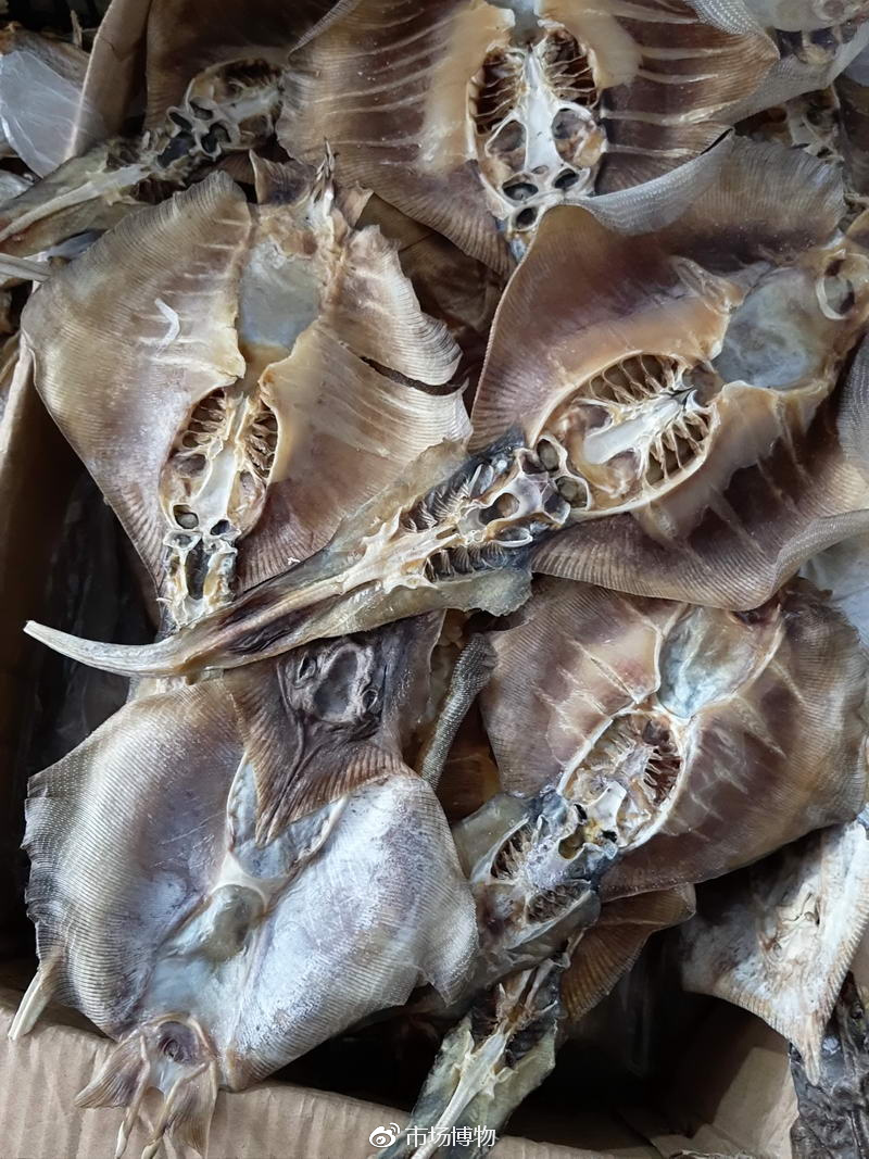 趁圩赶集廉江市营仔镇市场海鲜自产自销新鲜实惠