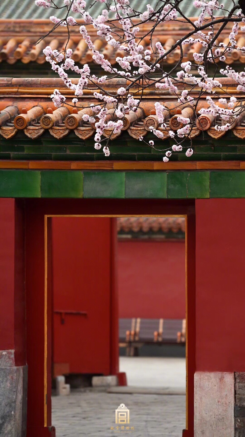 故宫红墙映杏花 罗隐有诗说杏花 暖气潜催次第春