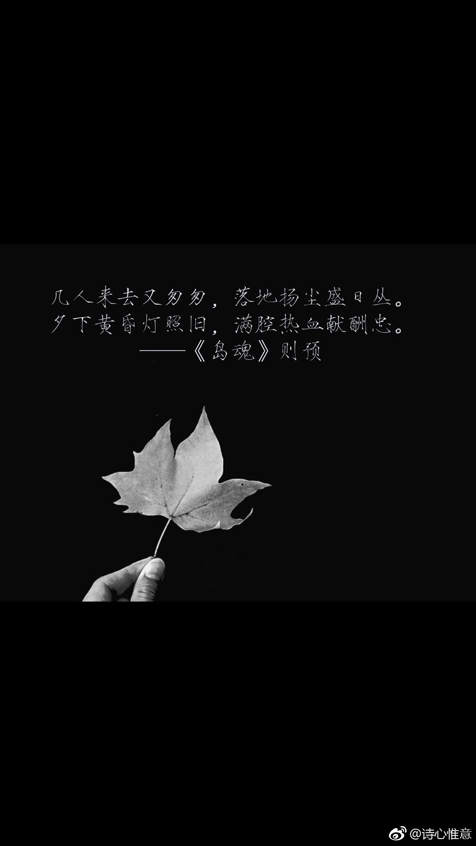 《中元节.追忆故人》则预