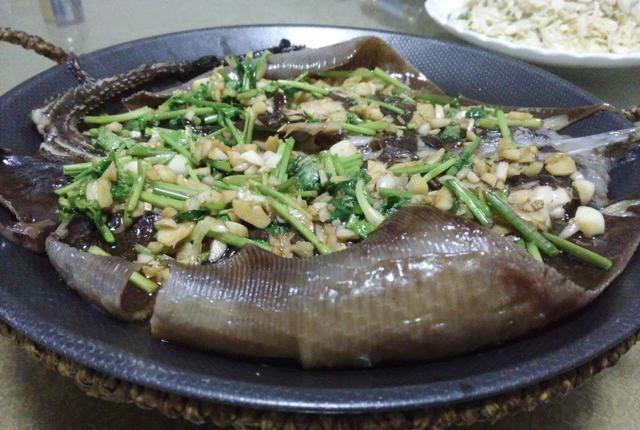 胶东人常吃的这种远古鱼常吃出一股尿骚味, 你吃过吗?